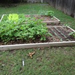 Norma Jean Garden Oklahoma