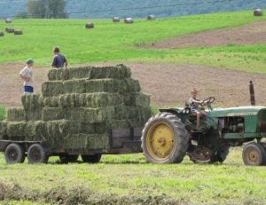 Square bales